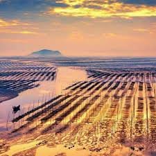 ซินดี้ สิรินยา avatar